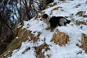 42 Nika si diverte nella neve